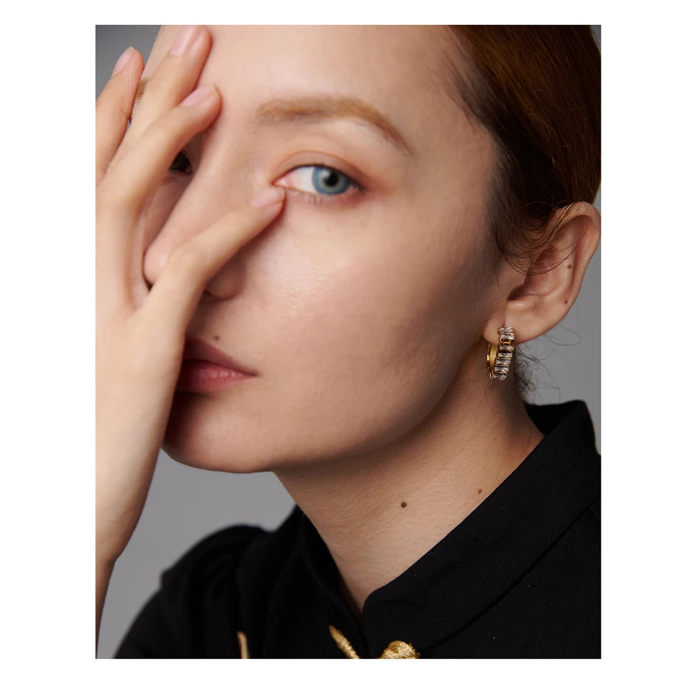 Stainless Steel Cubic Zirconia Earrings Jewelry