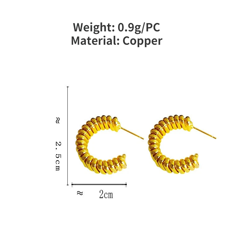 925 Silver Needle Modern Jewelry Metal Hoop Earrings 2022 New Trend Hot Selling Gold Color Fashion Drop Earrings For Women