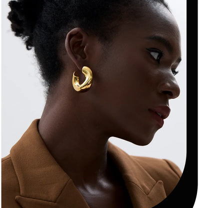 316 Stainless Steel Geometric Creative Chunky Unusual Earrings Minimalist Metal High Quality Golden Statement Jewelry