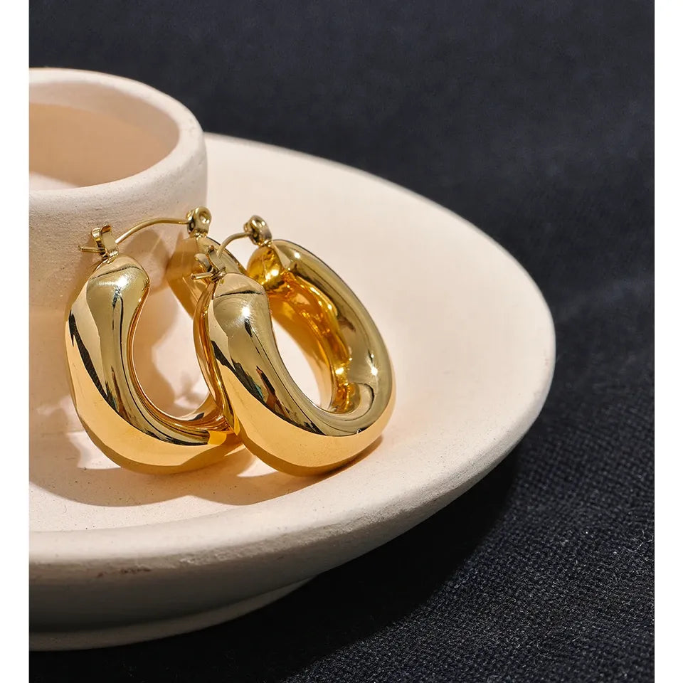 High Quality Stainless Steel Round Chunky Hoops Earrings for Women Charm Metal Fashion Jewelry Waterproof